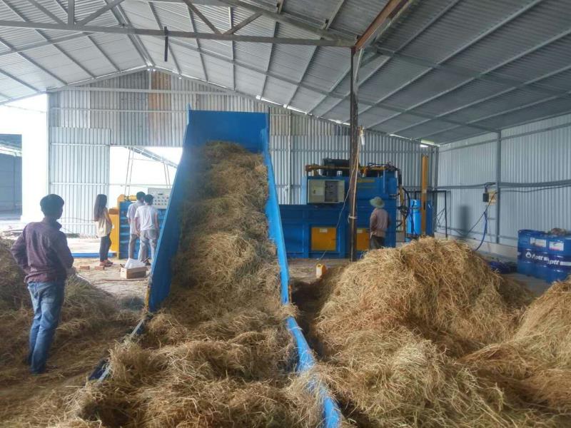 Balers idwolik (40)