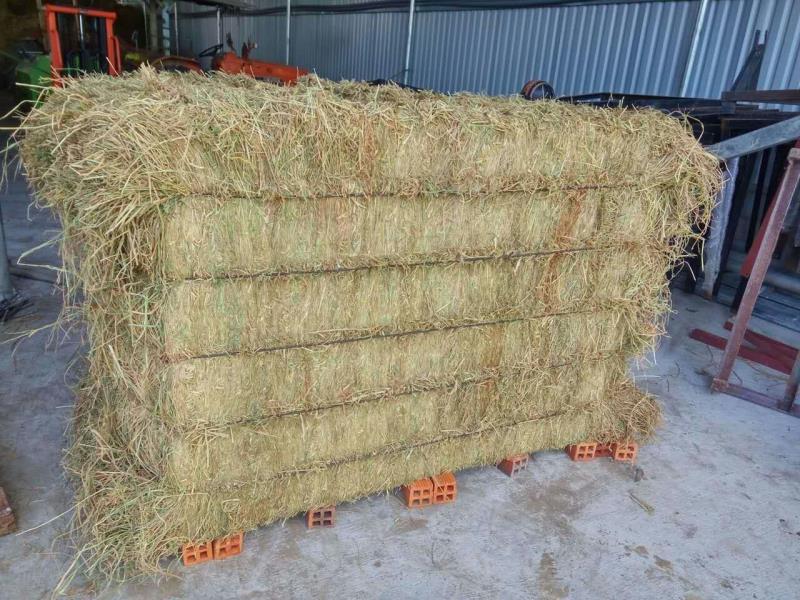 Baler pay (5)