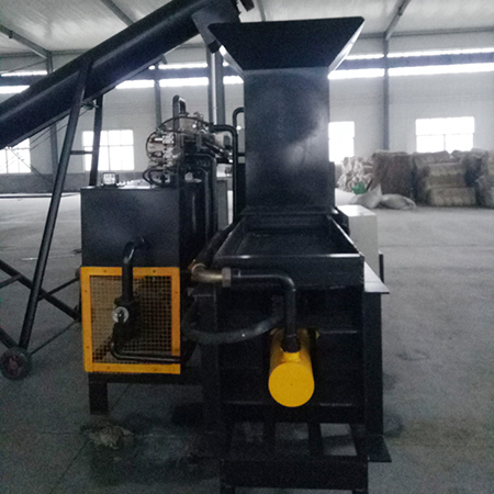 xiji (4)